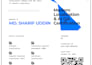 do professional software localization and machine translation